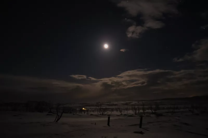 Bright moon shining on a wilderness landscape during winter.